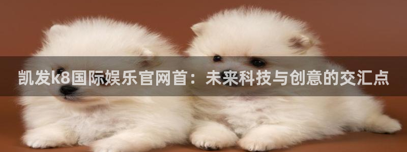 耀世娱乐体育代理申请流程：凯发k8国际娱乐官网首：未来科技与创意的交汇点