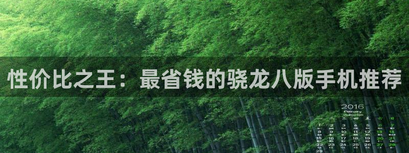 耀世娱乐4登录：性价比之王：最省钱的骁龙八版手机推荐