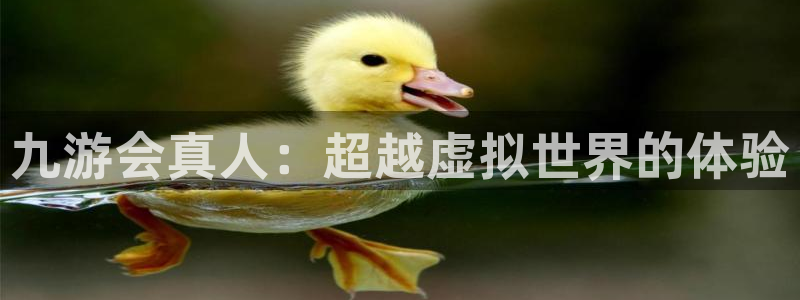 耀世娱乐：九游会真人：超越虚拟世界的体验