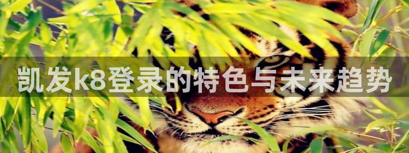 耀世娱乐平台官网：凯发k8登录的特色与未来趋势