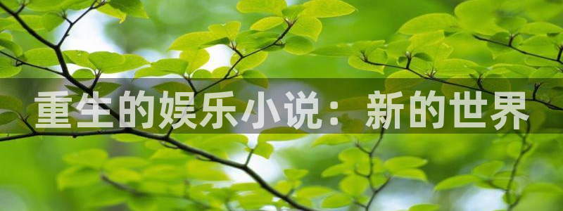 耀世娱乐k：重生的娱乐小说：新的世界