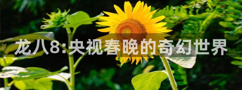 耀世娱乐f凯捷平台在线注册：龙八8:央视春晚的奇幻世界