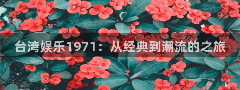 耀世娱乐体育注册登录入口：台湾娱乐1971：从经典到潮流的之旅
