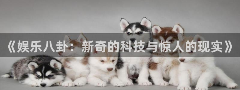 耀世娱乐平台在线开户：《娱乐八卦：新奇的科技与惊人的现实》