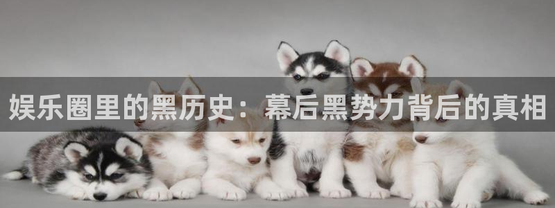 耀世娱乐平台主管：娱乐圈里的黑历史：幕后黑势力背后的真相