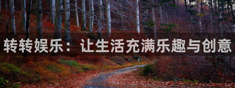 耀世娱乐体育免费注册入口：转转娱乐：让生活充满乐趣与创意