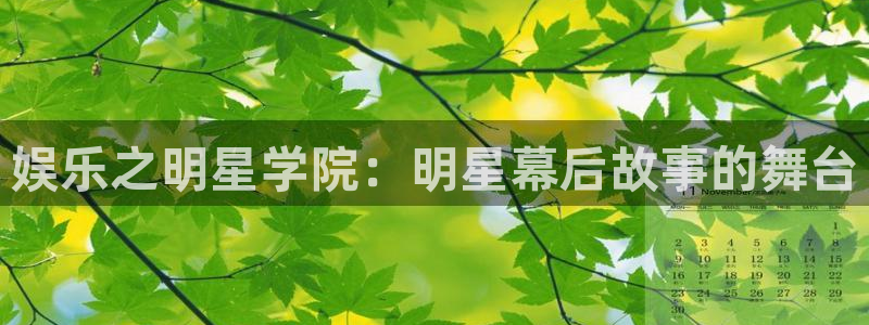 耀世娱乐体育代理申请流程：娱乐之明星学院：明星幕后故事的舞台
