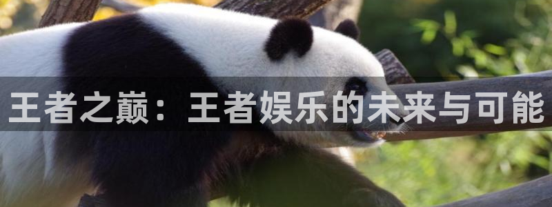 耀世娱乐体育网页版入口：王者之巅：王者娱乐的未来与可能