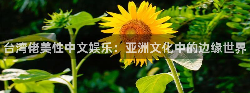 佛山市南海耀世娱乐机电仪器有限公司：台湾佬美性中文娱乐：亚洲文化中的边缘世界