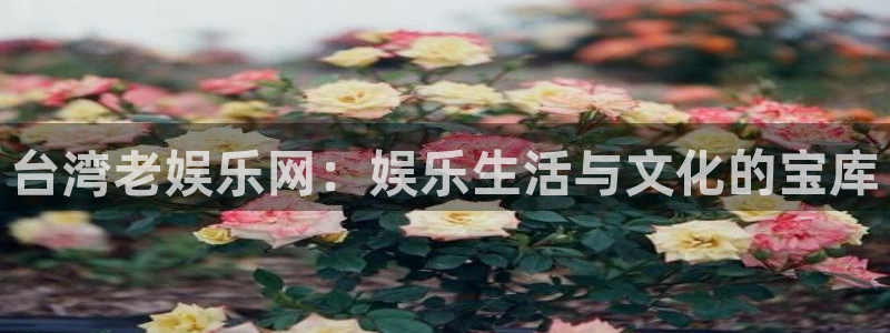 www.耀世娱乐体育.com：台湾老娱乐网：娱乐生活与文化的宝库
