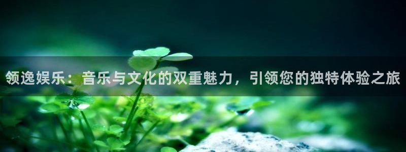 耀世娱乐体育官网：领逸娱乐：音乐与文化的双重魅力，引领您的独特体验之旅