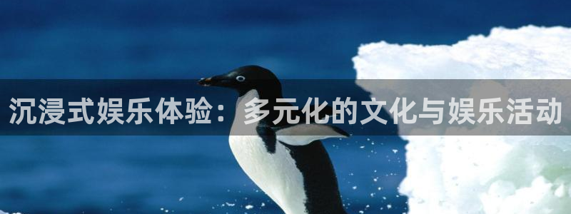 耀世娱乐官网：沉浸式娱乐体验：多元化的文化与娱乐活动