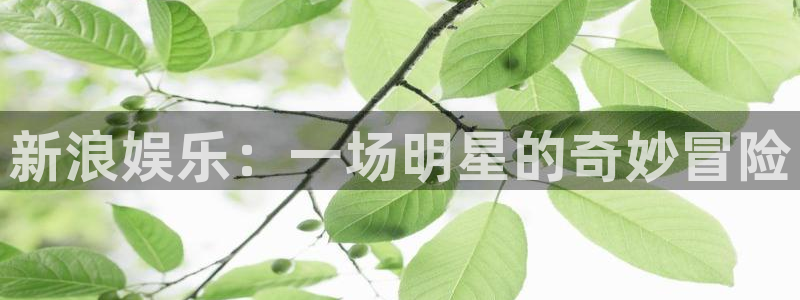 耀世娱乐登录界面入口：新浪娱乐：一场明星的奇妙冒险