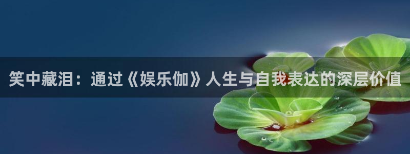 耀世娱乐体育：笑中藏泪：通过《娱乐伽》人生与自我表达的深层价值