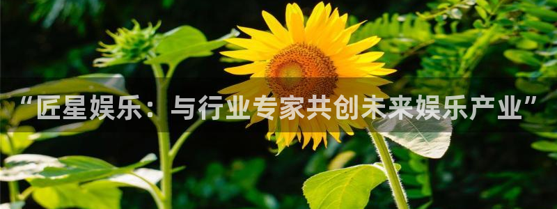 耀世娱乐能源：“匠星娱乐：与行业专家共创未来娱乐产业”