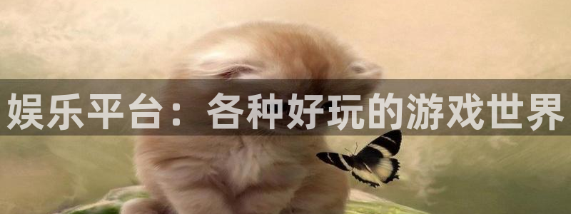 上海耀世娱乐汽车电子有限公司
