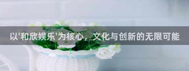 耀世娱乐4官网：以\'和欣娱乐\'为核心，文化与创新的无限可能