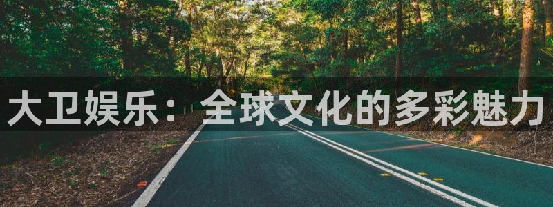 耀世娱乐登录界面入口：大卫娱乐：全球文化的多彩魅力