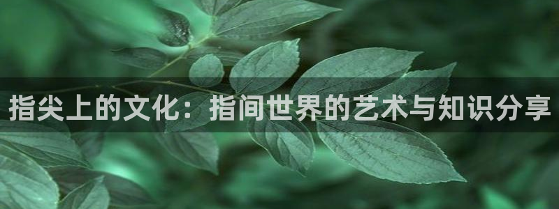 耀世娱乐体育老板是谁：指尖上的文化：指间世界的艺术与知识分享