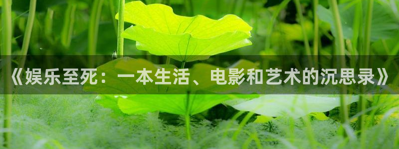 耀世娱乐f平台注册：《娱乐至死：一本生活、电影和艺术的沉思录》