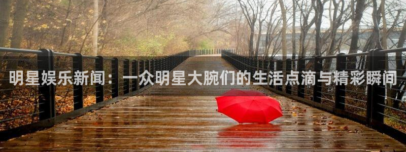 耀世娱乐平台官网：明星娱乐新闻：一众明星大腕们的生活点滴与精彩瞬间