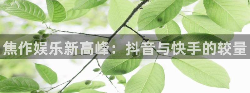 耀世娱乐主管
