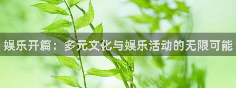 耀世娱乐登录界面入口：娱乐开篇：多元文化与娱乐活动的无限可能